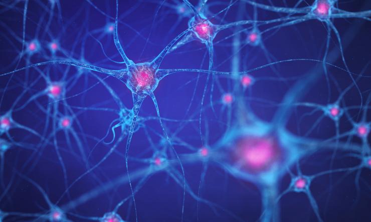 An illustration of the brain's neural network.