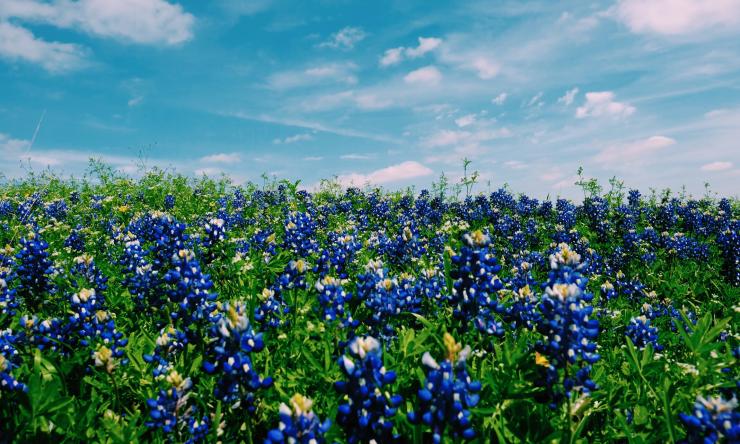 Warm weather and blooming flowers can mean sinus infections for allergy sufferers.