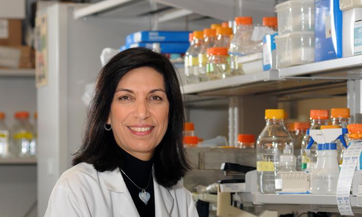 Dr. Huda Y. Zoghbi