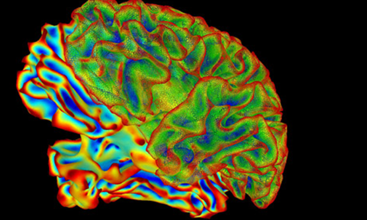 Image courtesy the National Institutes of Health.