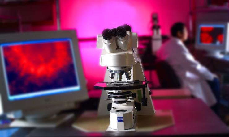 Learn more about research at Baylor College of Medicine.