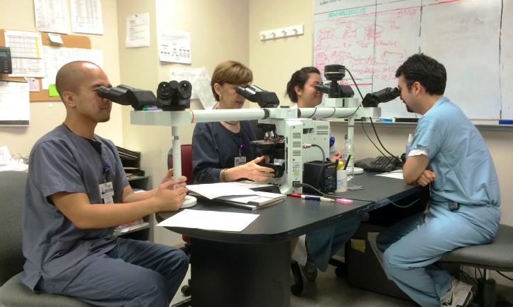 Each day the attending signs-out with the fellows and residents