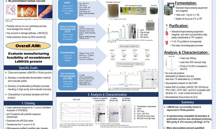 leishmaniasis vaccine bcm my chart