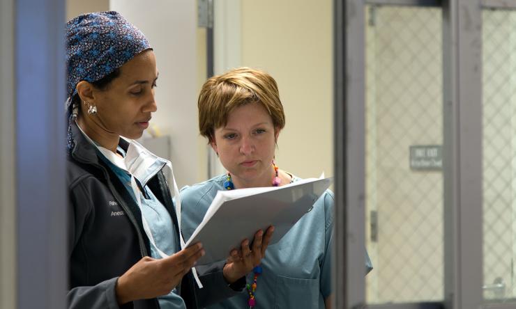 Anesthesiology Faculty