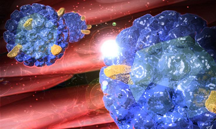 Virus-like particles have the unique property of inducing protective immune responses but they lack the infectious capacities of the original virus.