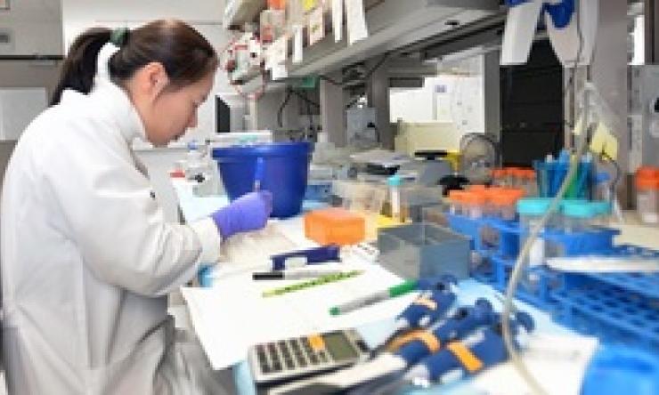 A researcher is performing a test in a laboratory setting