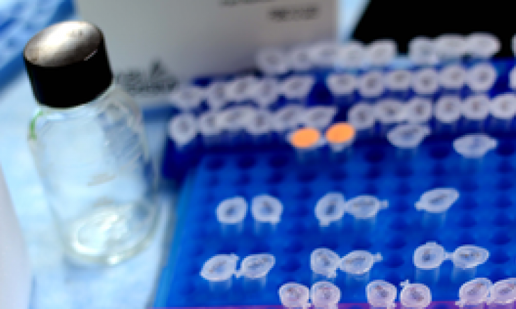 Clinical Trials
