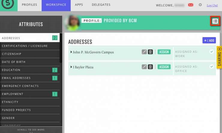 In the Workspace tab, the Preview Mode button is on the far right side of the green profile title bar.