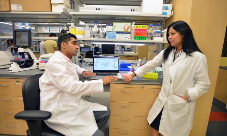 Lab members working together to conduct research.