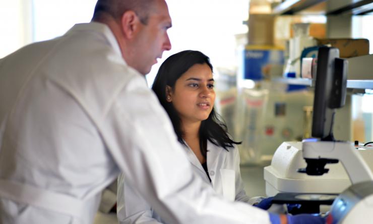 Dr. Sikora works with his lab members.