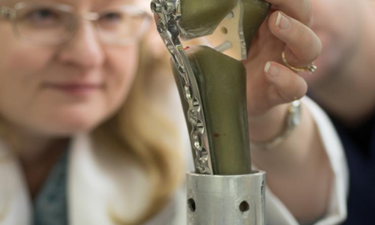 Center for Skeletal Medicine and Biology Cores