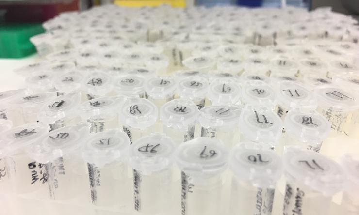 Caption sentence that describes the image or highlight some aspect about the lab research.